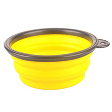 Collapsible Water/Food Bowl