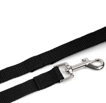 Nylon Dog Leash - All Sizes!