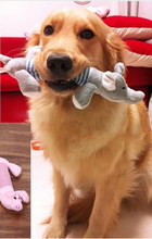 Pig Squeaker Toy