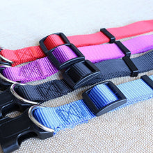 Basic Dog Collar