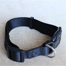 Basic Dog Collar