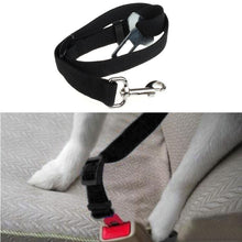 Pet Safety Seatbelt