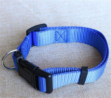 Basic Dog Collar