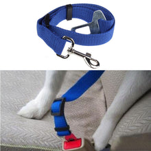 Pet Safety Seatbelt
