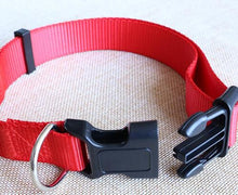 Basic Dog Collar