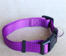 Basic Dog Collar