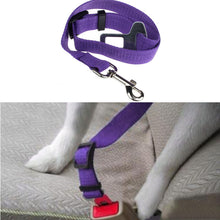 Pet Safety Seatbelt