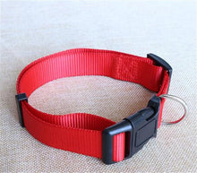 Basic Dog Collar