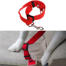 Pet Safety Seatbelt
